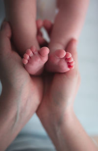 Cropped hands of woman holding baby feet
