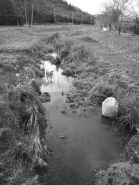 Scenic view of water