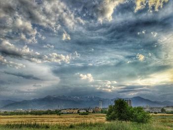 Scenic view of agricultural field against sky