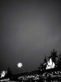 Trees against sky at night