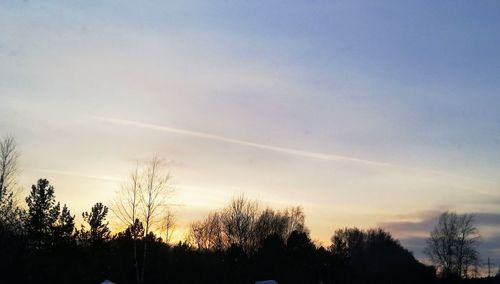 Low angle view of silhouette trees against sky during sunset