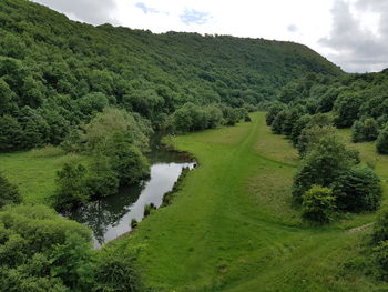 Scenic view of river amidst field against sky