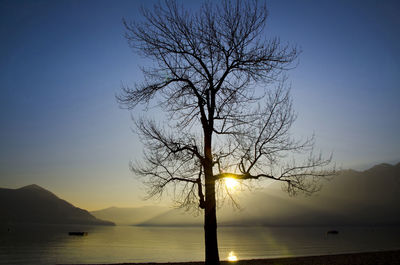 Bare tree by lake against sky during sunset