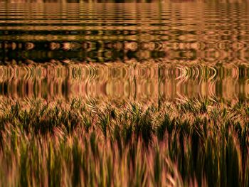 Full frame shot of lake