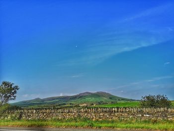 Scenic view of field against blue sky