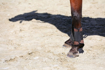 Low section of man standing on sand