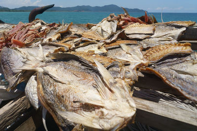 Close-up of fish in basket