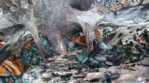 View of rocks in winter