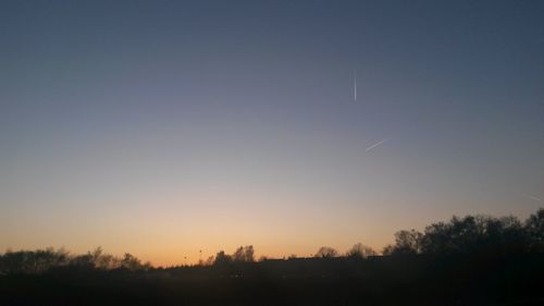 Silhouette of trees at sunset