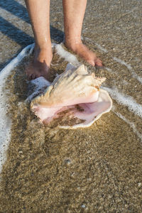 Low section of person on wet sand at beach