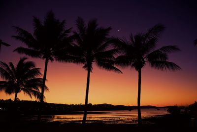 Silhouette palm trees on beach against sky during sunset