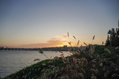 Scenic view of sea against clear sky during sunset