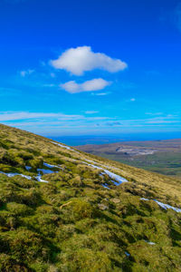 Scenic view of landscape against blue sky