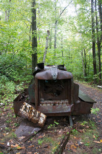 Abandoned vehicle in forest