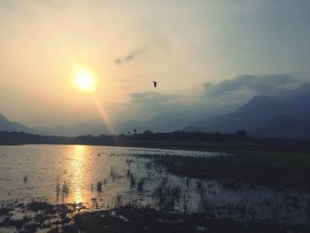 Birds flying over lake against sky during sunset