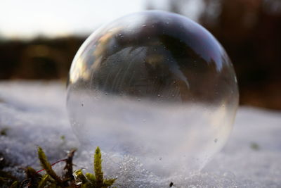 Close-up of bubbles in water