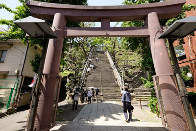 People walking in park