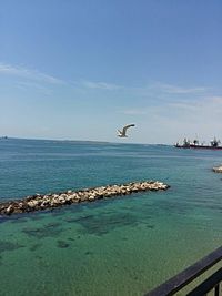 Birds flying over sea against sky