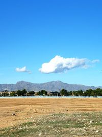 Scenic view of field against blue sky