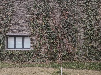 Window on wall of building