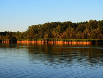 Scenic view of calm lake against clear sky