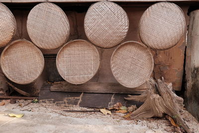 Stack of logs in forest