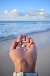Cropped hand holding sea shells at beach against sky