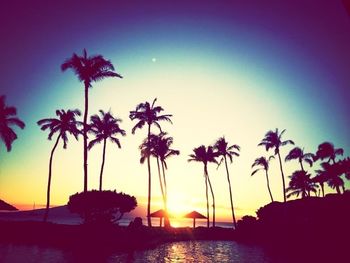 Silhouette of palm trees at sunset