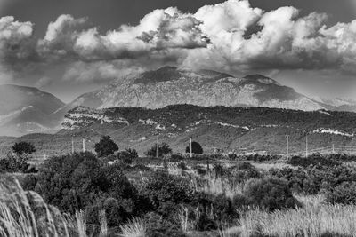 Scenic view of landscape against sky