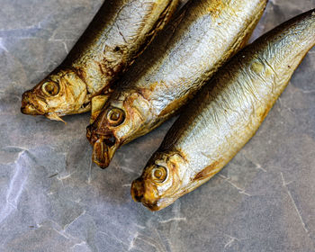 Close-up of fish on table