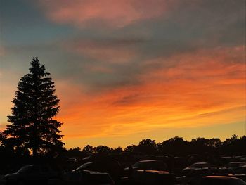 Silhouette trees against sky during sunset