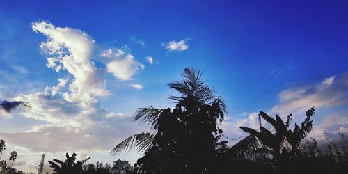 Low angle view of silhouette palm trees against blue sky