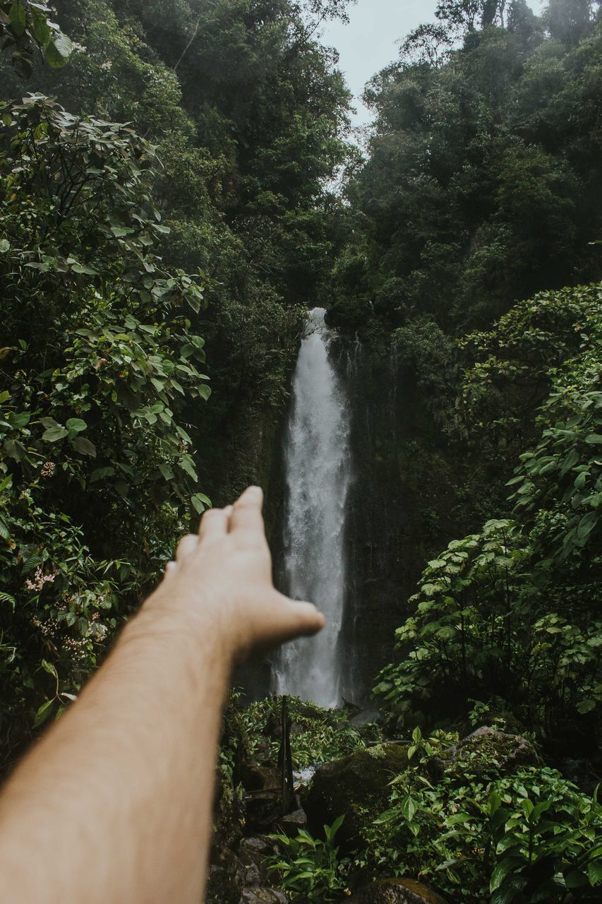 CROPPED IMAGE OF HAND WITH WATERFALL IN FOREST