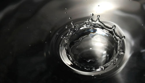 Close-up of drop on water