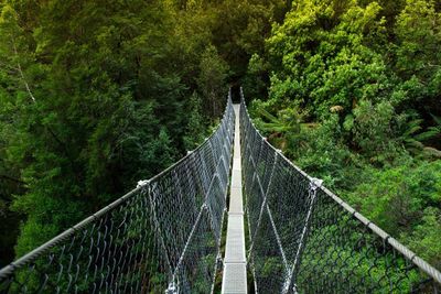 Suspension bridge in forest