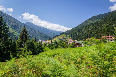 Scenic view of trees and mountains against sky