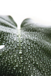 Full frame shot of raindrops on glass