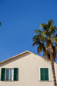 Low angle view of palm tree against blue sky