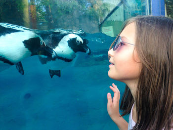 Close-up of child with penguin at busch gardens in tampa bay florida