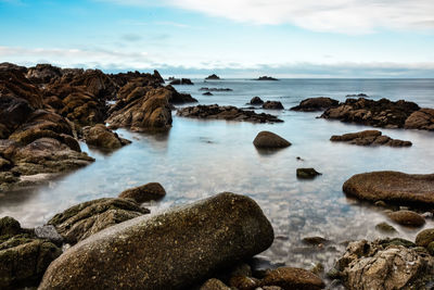 Long exposure of pacific ocean waves and rocky coast of california