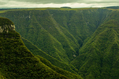 Scenic view of landscape