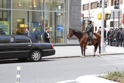 Horse riding motorcycle on street in city