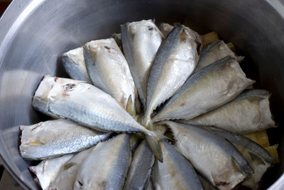 High angle view of fish in container