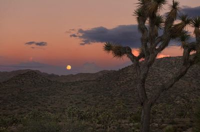 Sunset over landscape