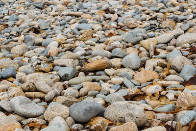 Full frame shot of pebbles on beach