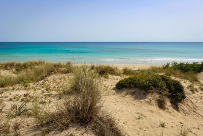 Scenic view of beach against clear sky