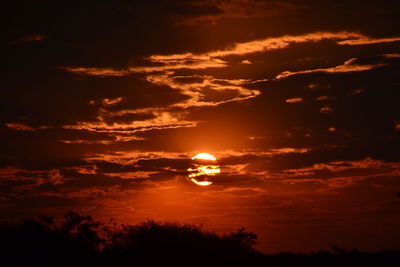 Scenic view of silhouette trees against orange sky