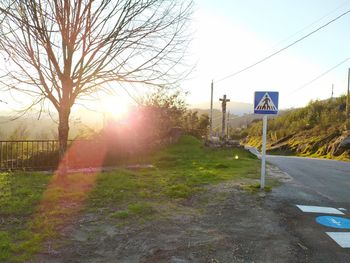 Road sign by trees against sky