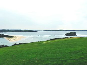 Scenic view of grassy landscape