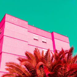 Pink palm. pink hotel. minimal tropical fashion vibes